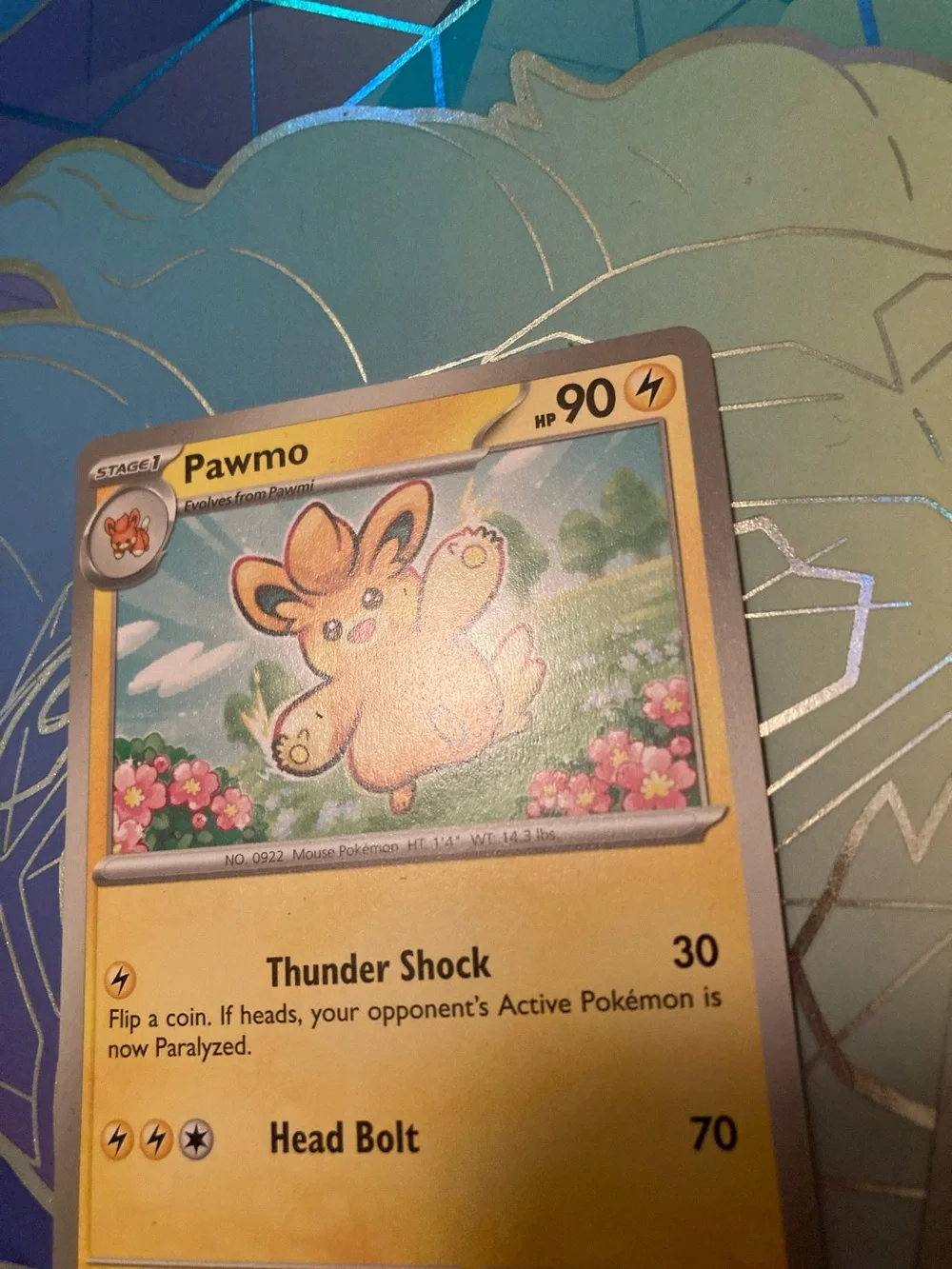 Pokemon Pawmo & Pawmi Yellow Electric Trading Cards Set